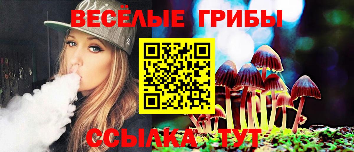 Бутурлиновка  Псилоцибиновые грибы мицелий  даркнет сайт  Вход с VPN 
