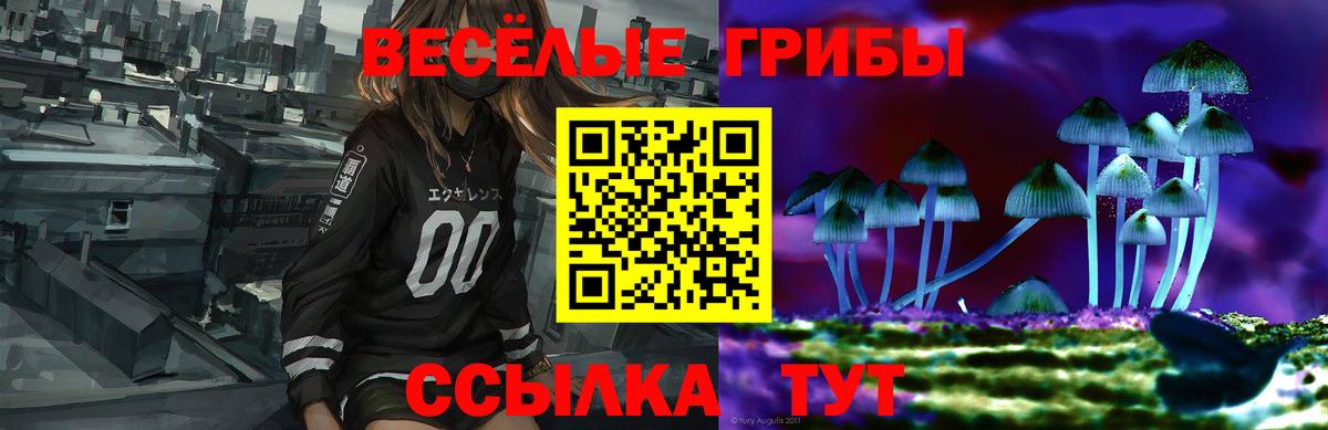Псилоцибиновые грибы Psilocybe Бутурлиновка